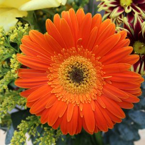 Corporate Event Video Production