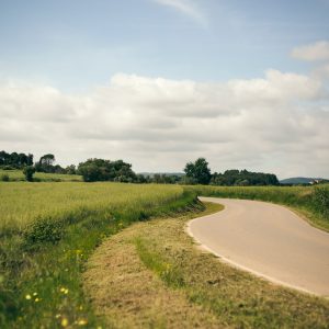 Custom Illustrations for Web